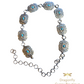 Silver Drina